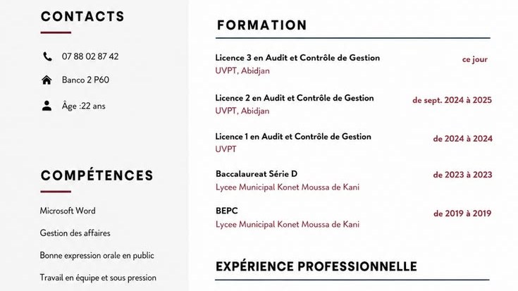 Je vais vous créer de CV professionnels, modernes et personnalisés