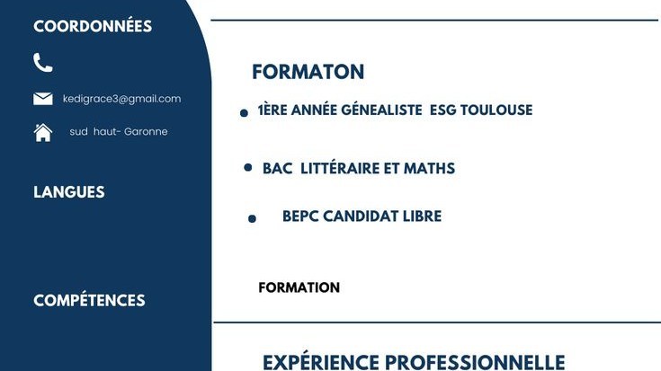 Je vais vous créer de CV professionnels, modernes et personnalisés